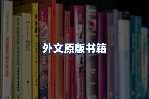 外文原版书籍